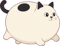 The heavy cat, ready to bounce.
